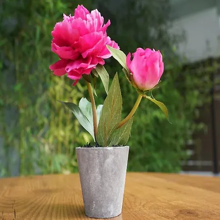 Olympus Thalassea Boutique Hotell 3*