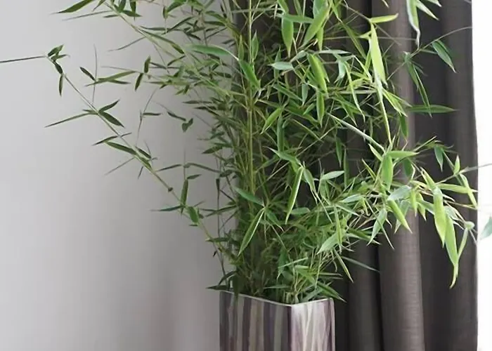 Hotel Olympus Thalassea Boutique 3*